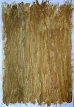 texture2